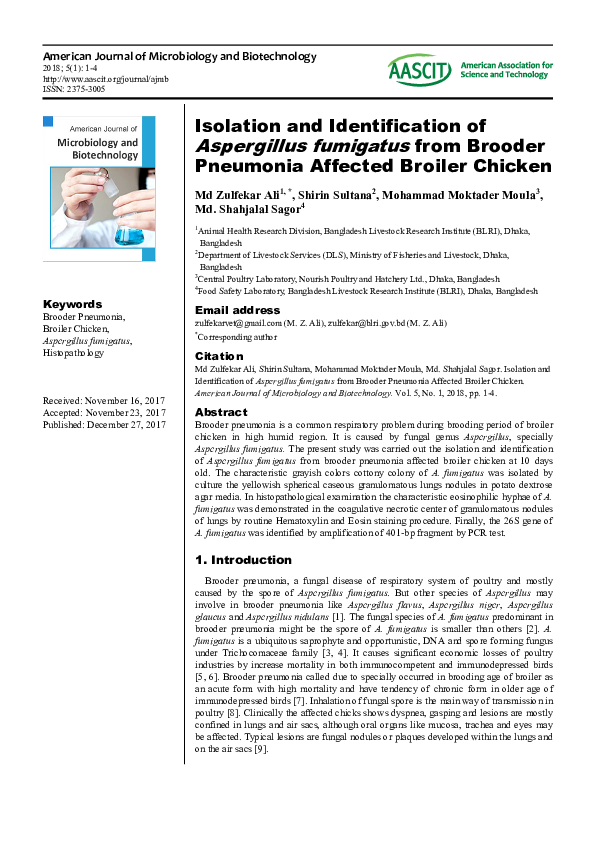 (PDF) Isolation and Identification of Aspergillus fumigatus from ...