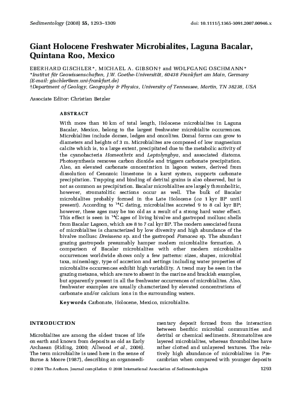 (PDF) Microbial mats and microbialites in the freshwater Laguna Bacalar
