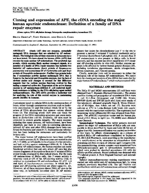(PDF) Cloning and expression of APE, the cDNA encoding the major human ...