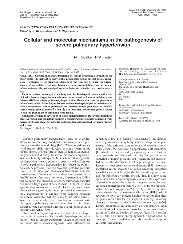 (PDF) Cellular and molecular mechanisms in the pathogenesis of severe ...