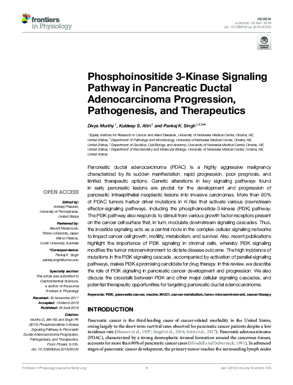 (PDF) Phosphoinositide 3-Kinase Signaling Pathway in Pancreatic Ductal ...