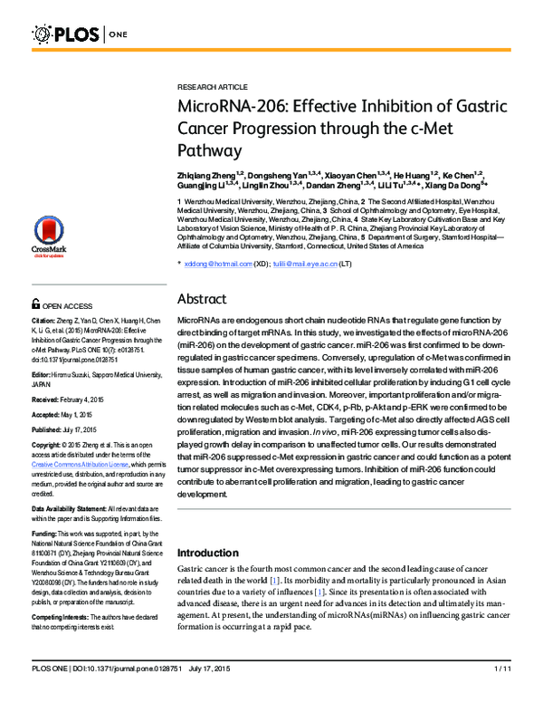 (PDF) MicroRNA-206: Effective Inhibition of Gastric Cancer Progression ...