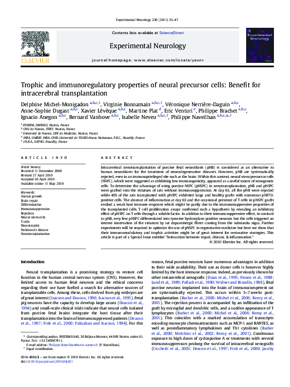 (PDF) Trophic and immunoregulatory properties of neural precursor cells ...