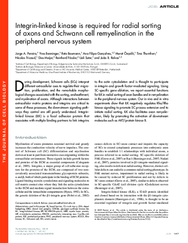(PDF) Integrin-linked kinase is required for radial sorting of axons ...