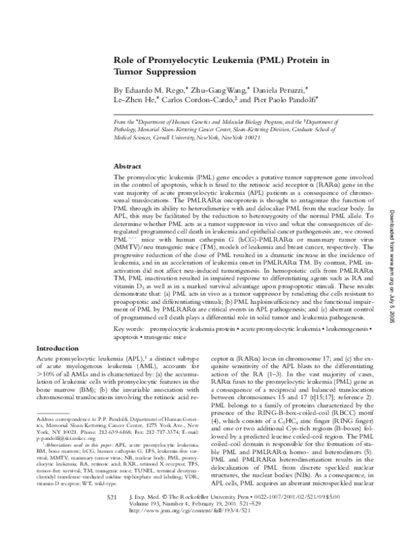(PDF) Role of Promyelocytic Leukemia (Pml) Protein in Tumor Suppression