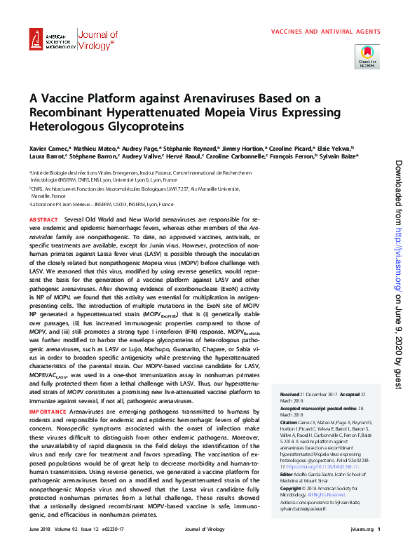 (PDF) A Vaccine Platform against Arenaviruses Based on a Recombinant ...
