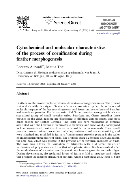 (PDF) Cytochemical and molecular characteristics of the process of ...