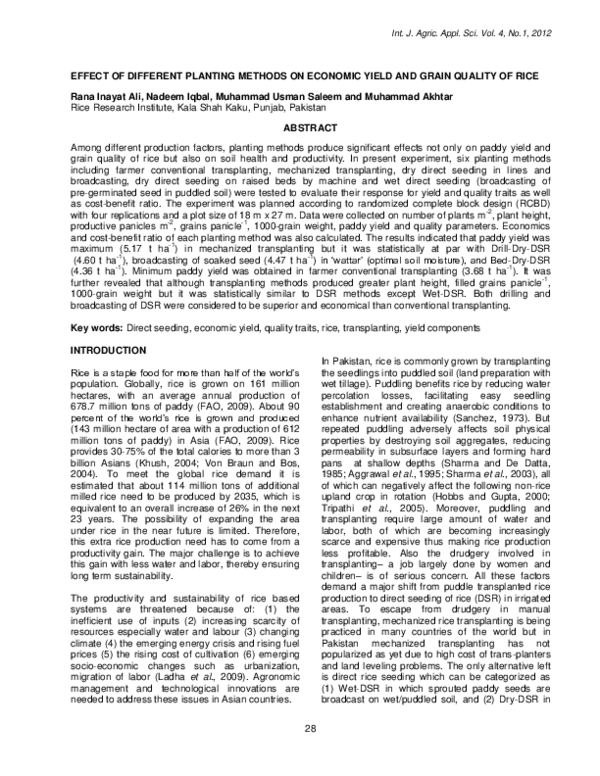 (PDF) Effect of Different Planting Methods on Economic Yield and Grain ...