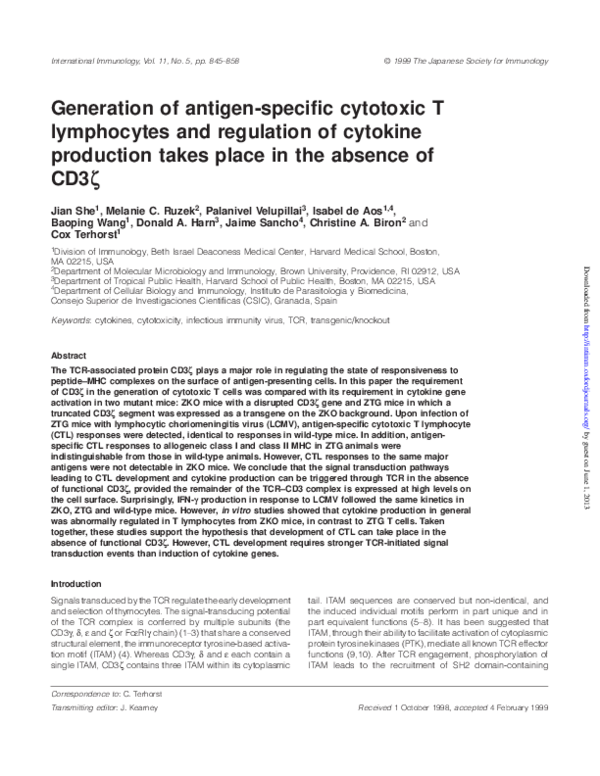 (PDF) Generation of antigen specific cytotoxic T lymphocytes (CTL) by ...