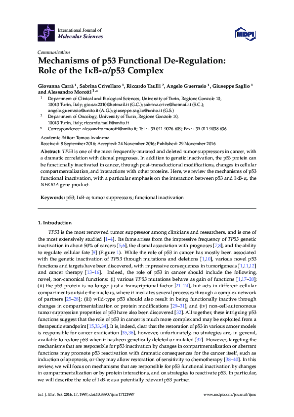 (PDF) Mechanisms of p53 Functional De-Regulation: Role of the IκB-α/p53 ...