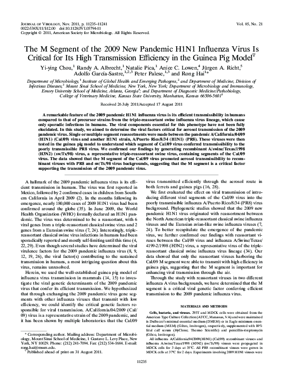 (PDF) The M Segment of the 2009 New Pandemic H1N1 Influenza Virus Is ...