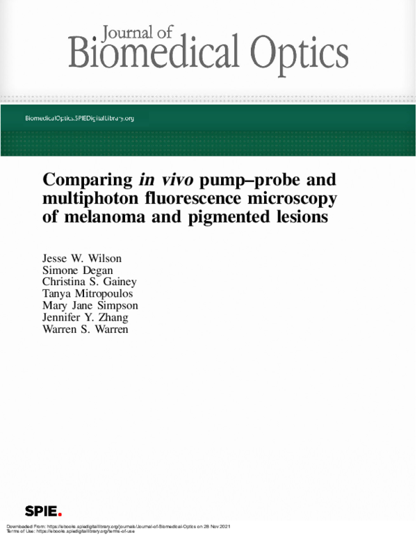 (PDF) Comparing in vivo pump–probe and multiphoton fluorescence ...