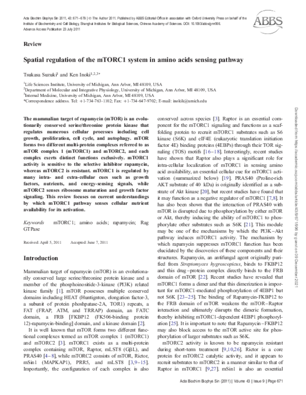 (PDF) Spatial regulation of the mTORC1 system in amino acids sensing ...