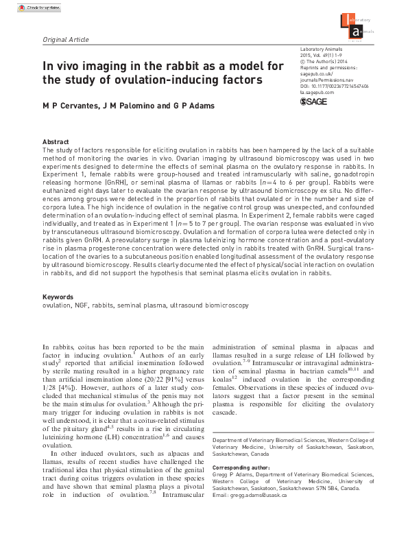(PDF) In vivo imaging in the rabbit as a model for the study of ...