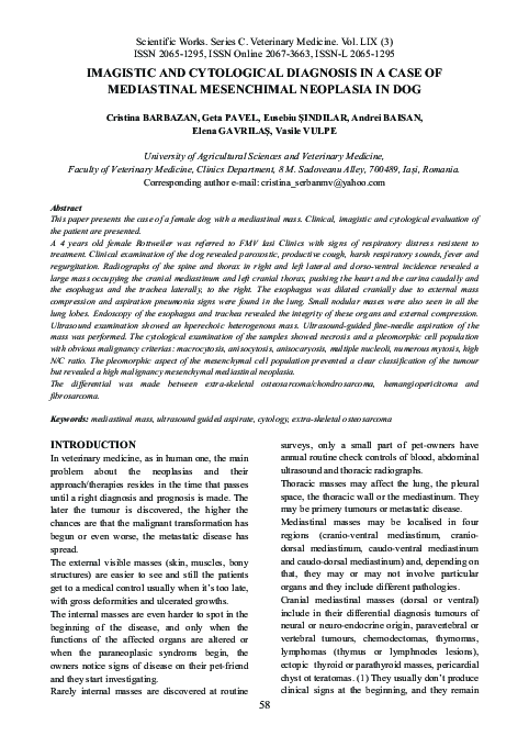 (PDF) Imagistic and cytological diagnosis in a case of mediastinal ...