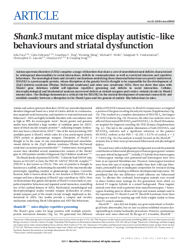 (PDF) Shank3 mutant mice display autistic-like behaviours and striatal ...