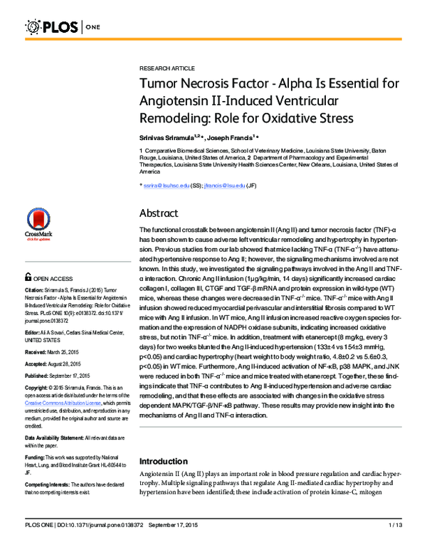 (PDF) Tumor Necrosis Factor - Alpha Is Essential for Angiotensin II ...