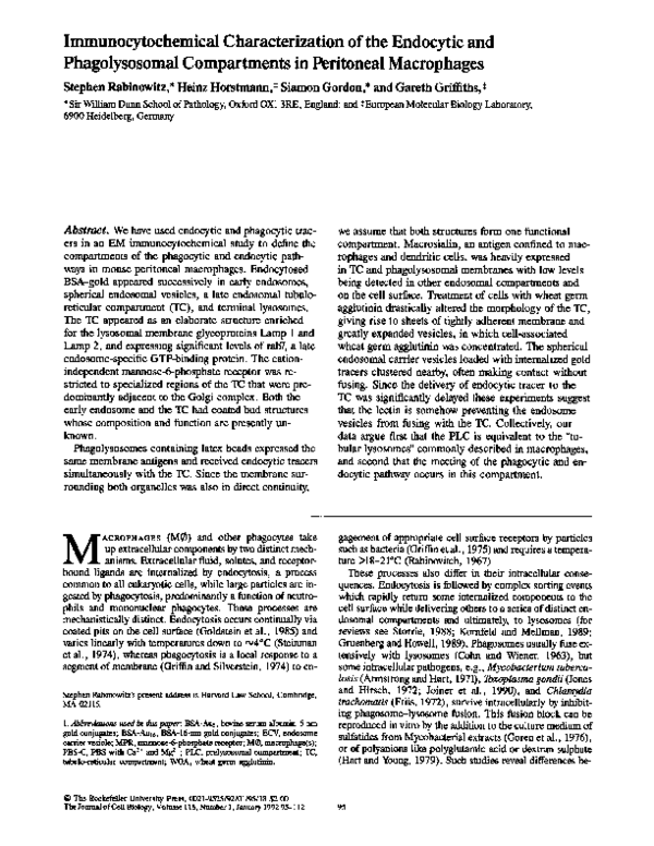 (PDF) Immunocytochemical characterization of the endocytic and ...