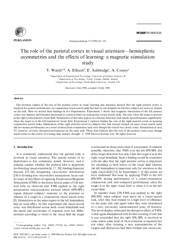(PDF) The role of the parietal cortex in visual attention—hemispheric ...