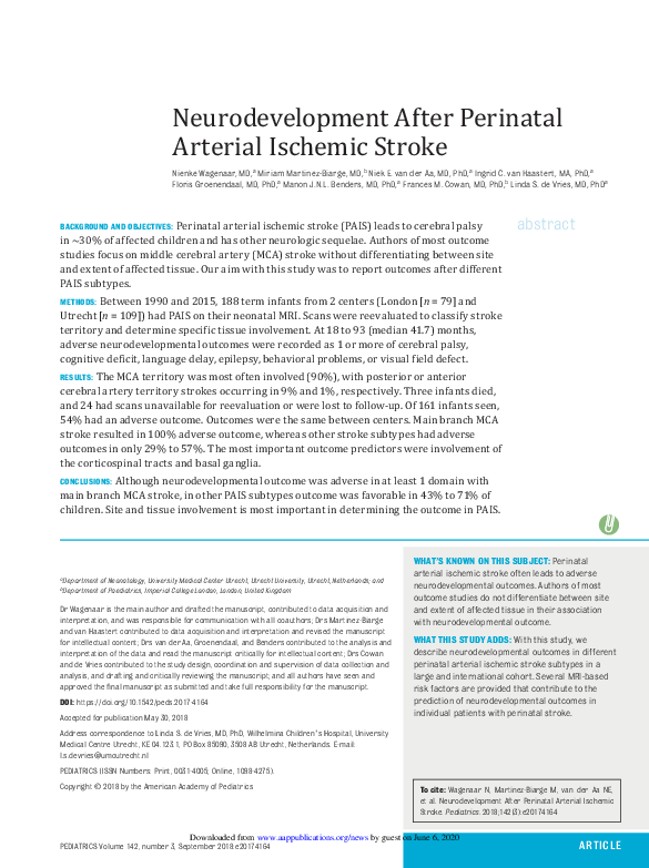 (PDF) Neurodevelopment After Perinatal Arterial Ischemic Stroke