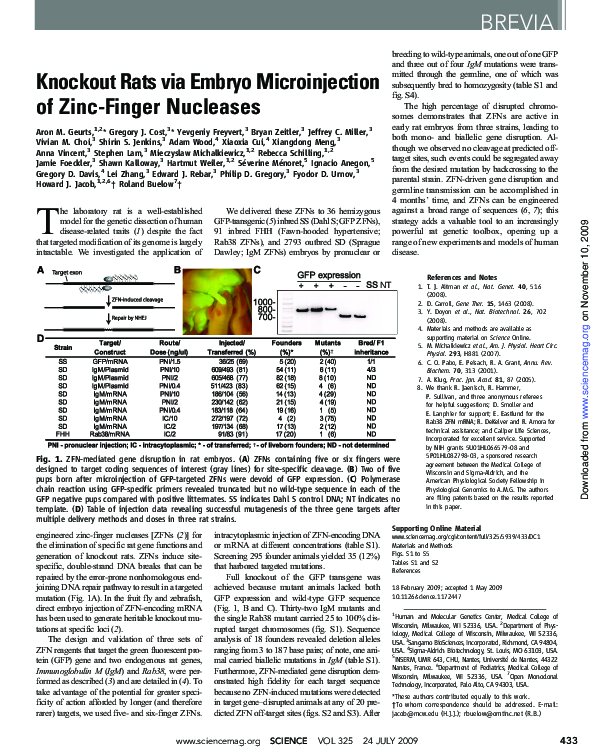 (PDF) Knockout rats via embryo microinjection of zincfinger nucleases
