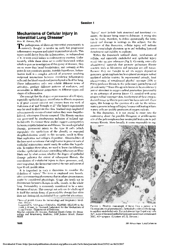 (PDF) Mechanisms of Cellular Injury in Interstitial Lung Disease