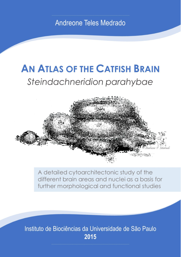 An Atlas of catfish brain - <i>Steindachneridion parahybae</i> (Teleostei: Siluriformes): a detailed cytoarchitectonic study of the different brain areas and nuclei as a basis for further morphological and functional studies