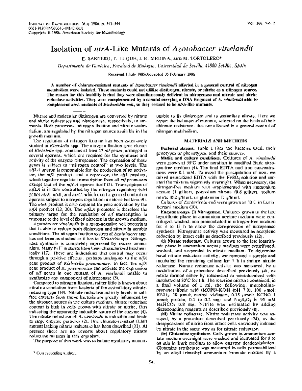(PDF) Isolation ofntrA-Like Mutants ofAzotobacter vinelandii