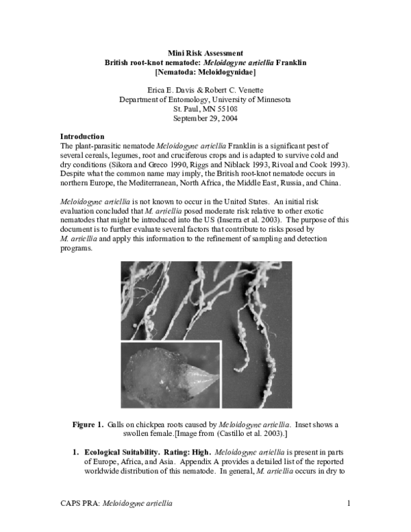  PDF Mini Risk Assessment British Root knot Nematode Meloidogyne Artiellia Franklin Nematoda 