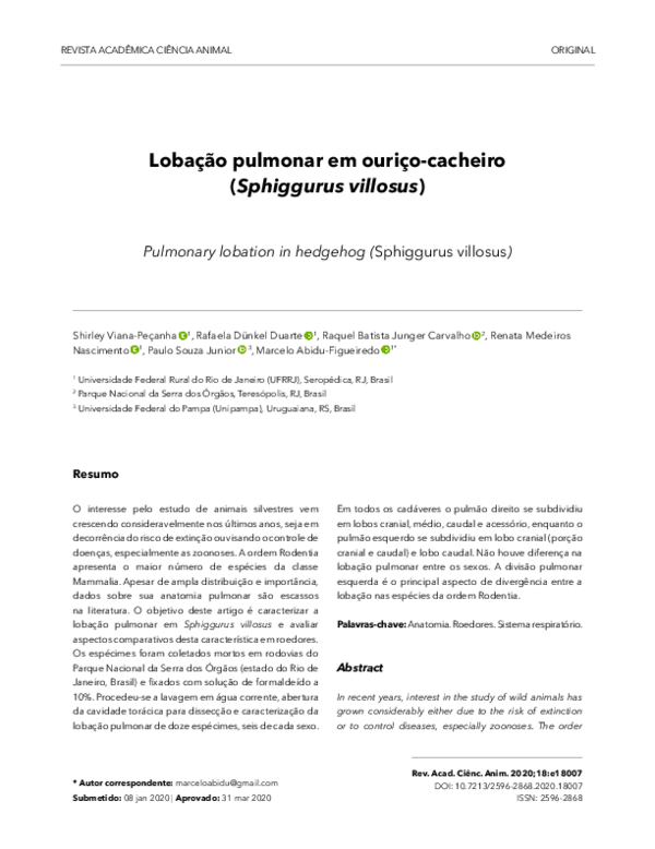 (PDF) Lobação pulmonar em ouriçocacheiro (Sphiggurus villosus)