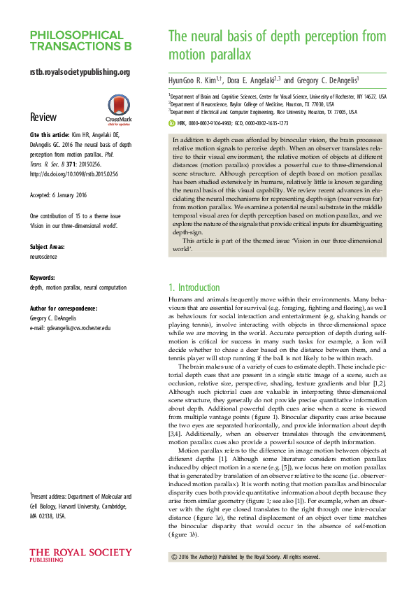 (PDF) The neural basis of depth perception from motion parallax