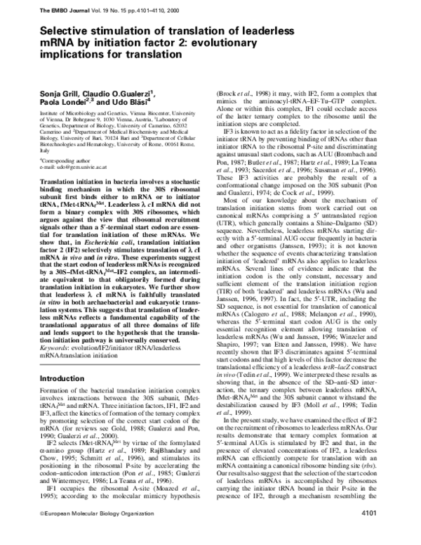 (PDF) Selective stimulation of translation of leaderless mRNA by ...