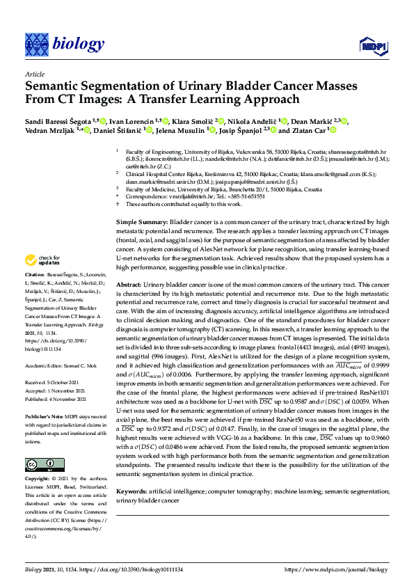 (PDF) Semantic Segmentation of Urinary Bladder Cancer Masses From CT ...