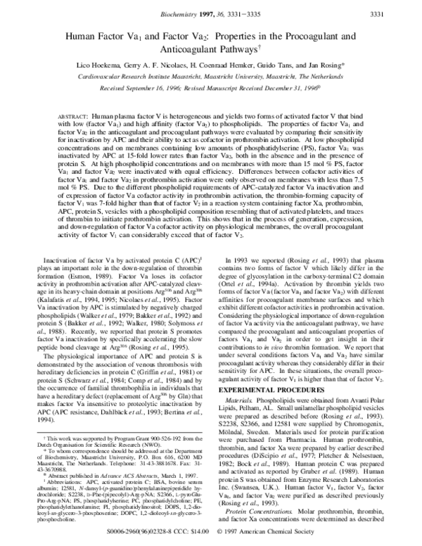 (PDF) Human factor Va1 and factor Va2: properties in the procoagulant ...