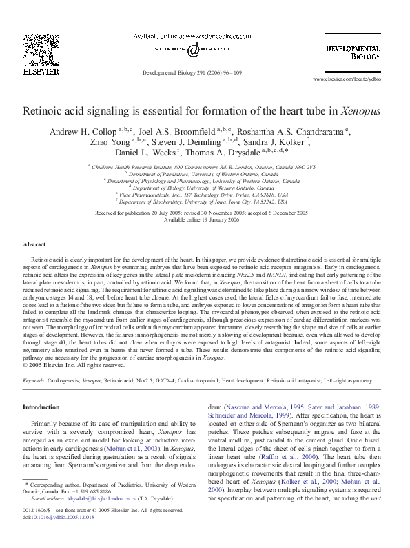 (PDF) Retinoic acid signaling is essential for formation of the heart ...