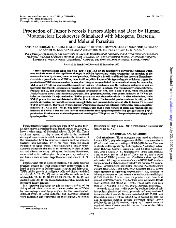 (PDF) Production of tumor necrosis factors alpha and beta by human ...
