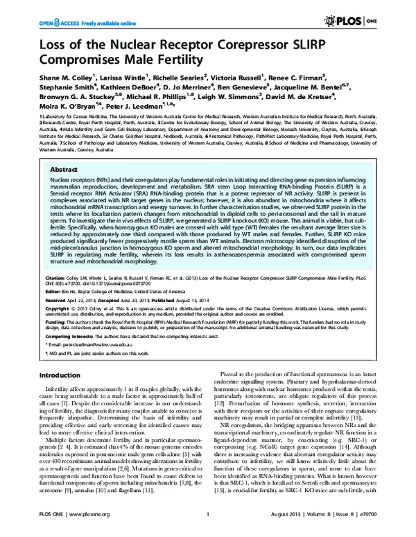 (PDF) Loss of the Nuclear Receptor Corepressor SLIRP Compromises Male ...
