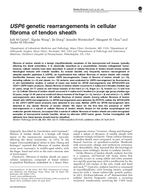 (PDF) USP6 genetic rearrangements in cellular fibroma of tendon sheath