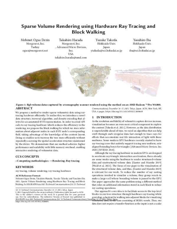 (PDF) Sparse Volume Rendering using Hardware Ray Tracing and Block Walking