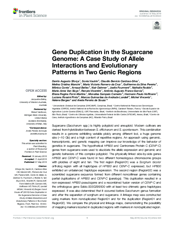 (PDF) Gene Duplication in the Sugarcane Genome: A Case Study of Allele ...
