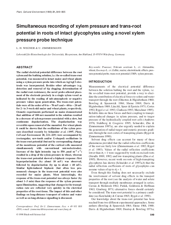 (PDF) Simultaneous recording of xylem pressure and trans-root potential ...