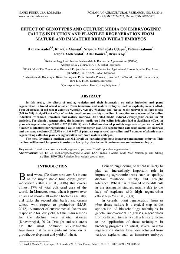 (PDF) Effect of Genotypes and Culture Media on Embryogenic Callus ...