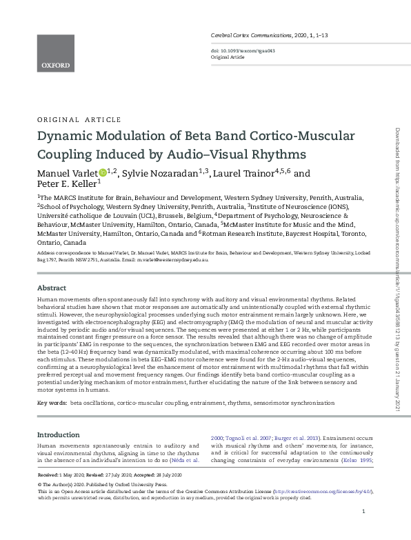 (PDF) Dynamic Modulation of Beta Band Cortico-Muscular Coupling Induced ...