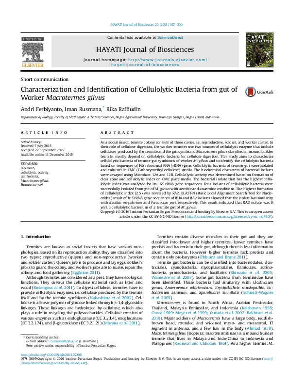 (PDF) Characterization and Identification of Cellulolytic Bacteria from ...