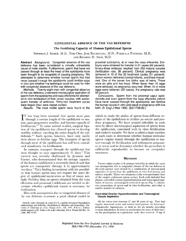 (PDF) Congenital absence of the vas deferens