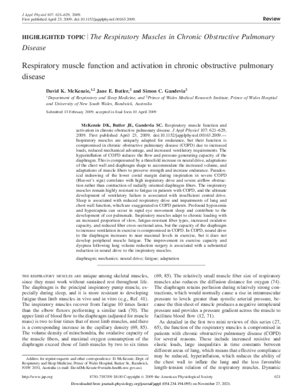 (PDF) The Respiratory Muscles in Chronic Obstructive Pulmonary Disease ...