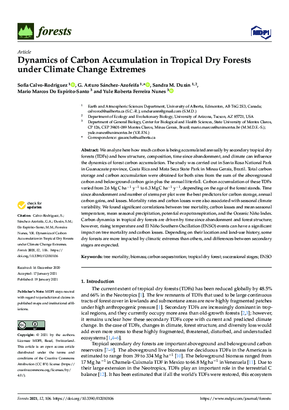 (PDF) Dynamics of Carbon Accumulation in Tropical Dry Forests under ...