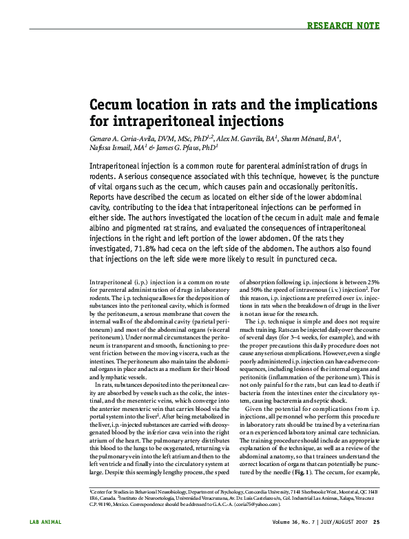 (PDF) Cecum location in rats and the implications for intraperitoneal ...