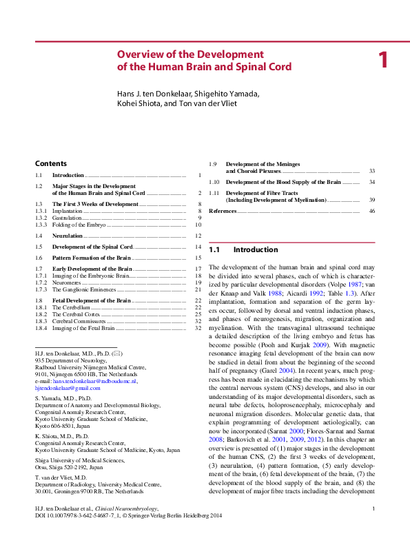 (PDF) Overview of the Development of the Human Brain and Spinal Cord