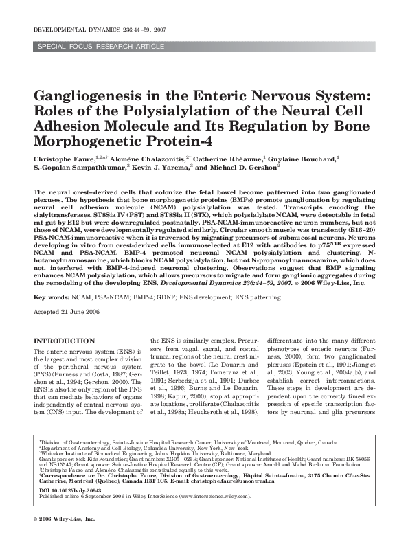 (PDF) Gangliogenesis in the enteric nervous system: Roles of the ...